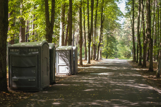 Best Portable sink rental  in Campbellsport, WI